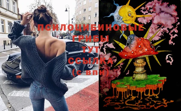 не бодяженный Абаза