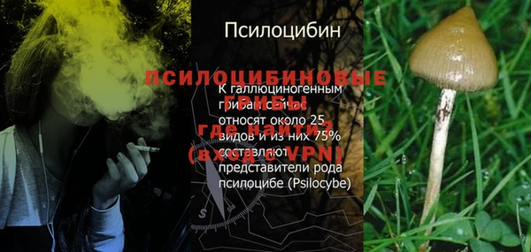 a pvp Алексеевка